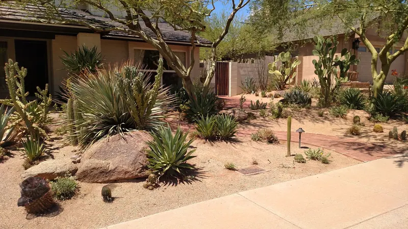 Lush garden scene, photo 2