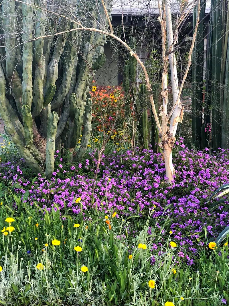 Lush garden scene, photo 3