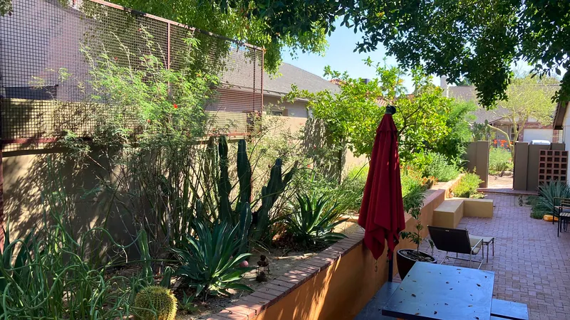 Lush garden scene, photo 8