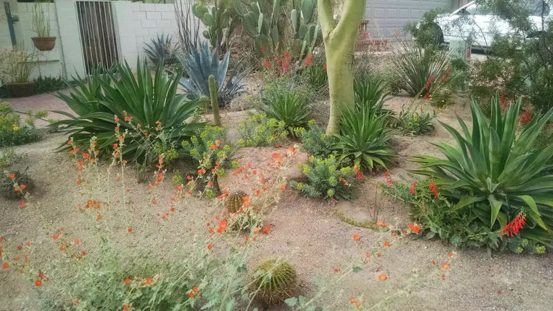 Open View garden scene, photo 2