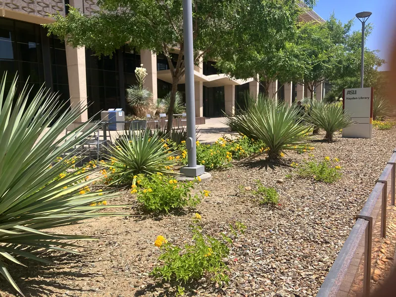 Open View garden scene, photo 4