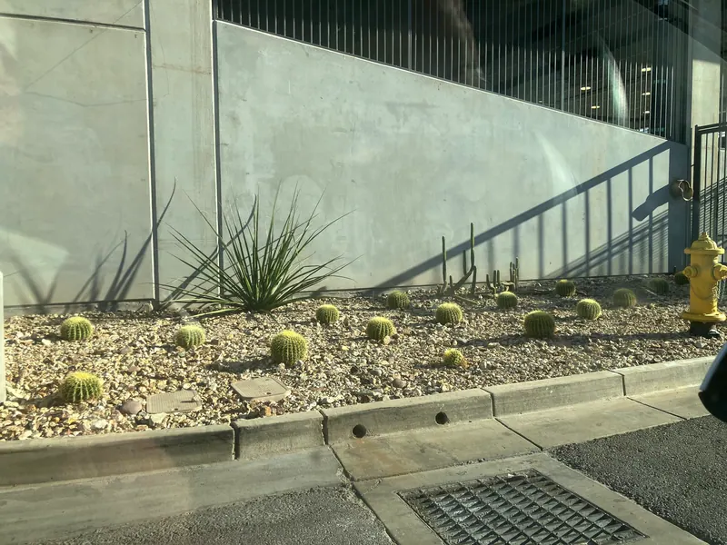 Open View garden scene, photo 7