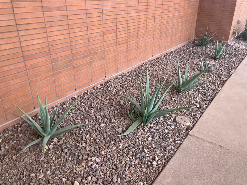Open View garden scene, photo 9