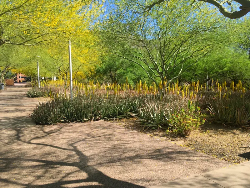 Spiky garden scene, photo 5